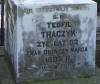 Grave of Teofil Traczyk, died 1895